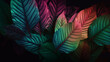 Tropical leaf forest glow in the black light background. High contrast