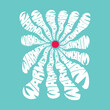 Flower typography slogan for t shirt printing, tee graphic design, vector illustration.