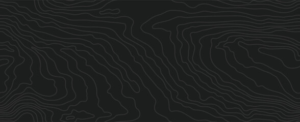 Wood grain black texture. Seamless wooden pattern. Abstract line background. Tree fiber vector illustration