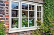 Traditional Cottage Style House with White PVC UPVC Windows Surrounded by a Flourishing Garden