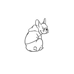 Wall Mural - hand drawn vector abstract graphic line art collection with diverse cute funny cartoon dogs characte