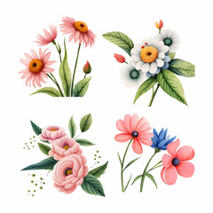 Wall Mural - collection of drawn watercolor flowers