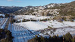 Rare Winter snow covers the vineyards around Julian, southern California.