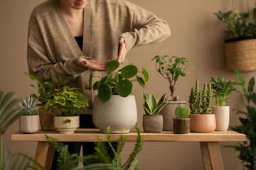 Sticker - Botanic living room interior with woman watering flowers, plants in flowerpots, cacti, wooden bench, flowerpot on the wall and personal accessories. Home decor. Template.