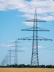 Wall Mural - Vertical shot of a line of transmission towers in a field in the countryside under a cloudy sky