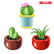 Popular indoor plants elements and succulents rosettes varieties including pin cushion cactus realistic collection isolated vector collection. 3D realistic tree front   cute cartoon cactus succulent