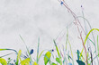 Ilustracja grafika kompozycja roślinna, trawy i kwiaty na jasnym tle, szablon.