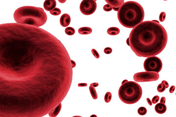 Poster - Red blood cells on white background