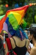 Back view of human with LGBT flag on head