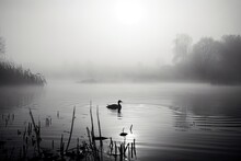 Contemporary Art Scene Of A Foggy Lake: A Cold And Empty Black And White Landscape. Generative AI