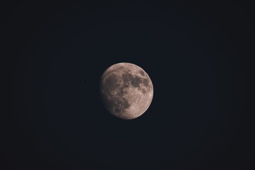 Wall Mural - beautiful view of a full moon in a dark sky