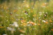 Wild herbal and flowers meadow with butterflies. generative ai