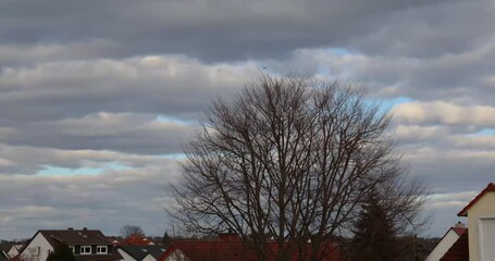 Wall Mural - Time lapse movie of low moving cloud cover over a settlement at sunset