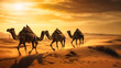 Camels ride on a desert savannah