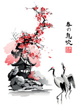 Japanese Cranes Against The Background Of An Arbor And A Branch Of Cherry Blossoms. Illustration In Oriental Style. Text - "Breath Of Spring", "Perception Of Beauty".