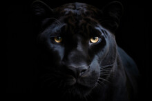 Close-up On A Black Panther Eyes On Black