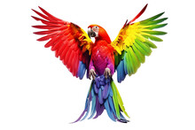 Beautiful Colorful Parrot Flying, Wings Spread, Front View, Isolated. PNG File With Transparency. Generative Ai