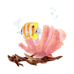 Sticker - Watercolor drawing set of bottom snag, coral, air bubbles and butterfly fish on white background. Underwater picture ideal for your illustration, stickers, logo, textile printing