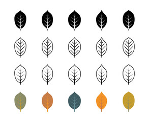 Walnut tree leaf vector icons. Isolated walnut leaves icon collection for websites on white background.