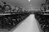 Fototapeta Pomosty - Tiefgarage für Fahrräder in Amsterdam