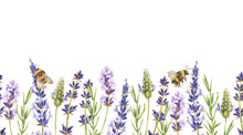 Watercolor Botanical Illustration. Seamless Banner With Purple Lavender Wildflowers And Bumblebees. Fragrant Field Herb Bouquet.Hand Drawn Isolated On A White Background.For Cosmetic Packaging Design