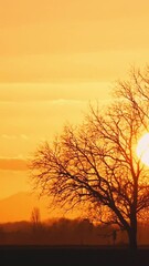 Poster - Calm vertical shot of a field with dry trees and dreamy bright orange sun in the sky