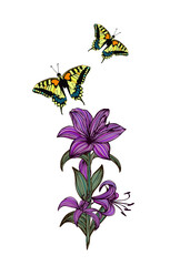 Wall Mural - Lily flower graphic with a butterfly. Vector illustration