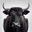 Adult Spanish bull portrait isolated on a white background. Generative AI. 