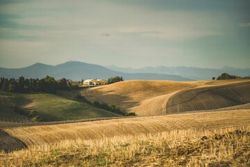 Sticker - Scenic view of a yellow field at sunset with a hut  and hills in the background and a cloudy sky