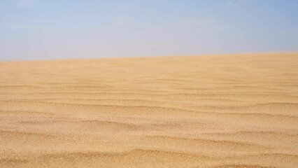 Sticker - Golden sand in the desert with a slight breeze.