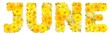 canvas print picture - word june with yellow flowers