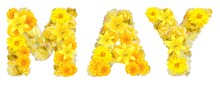 Word May With Yellow Flowers