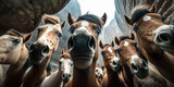 Fototapeta Zwierzęta - A Group Of Horse Taking Selfie Hyper Realistic Realism Style Generative Ai Digital Illustration Part#140423