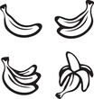 vector colorful banana fruit design