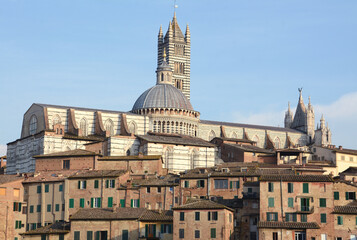 Wall Mural - Panorama of Siena with the red houses, the cathedral in Italian Romanesque-Gothic style and the Torre del Mangia overlooking Piazza del Campo.