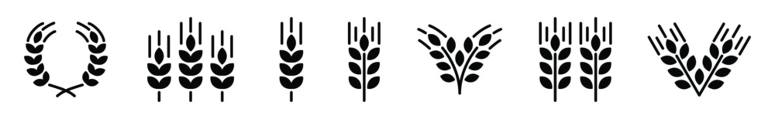 Wheat ear icon vector set. Grain icons collection in flat style. Wheat icon on white background. Cereals grain, agriculture, rice stalk, bread, food, nature, harvest symbol. Vector illustration