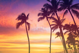 Fototapeta  - Tropical sunset sky with palm trees