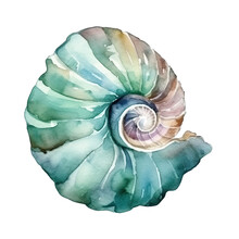 Blue Watercolor Seashell Illustration Isolated On Transparent Background, Underwater Animals Ocean Collection. Generative AI