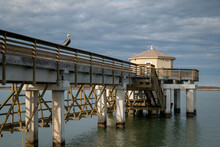 A Single Brown Pelican Is Perched On The Wood Railing Of Pier With Concrete Pillars And An Enclosed Structural At The End, Over The Water, In Evening Light With Cloudy Sky.