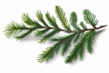 Sticker - a cartoon branch of a fir tree, isolated on white. Generative AI