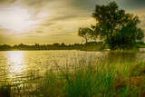 Fototapeta Krajobraz - Trees by the pond with grass during the sunset in Surabaya