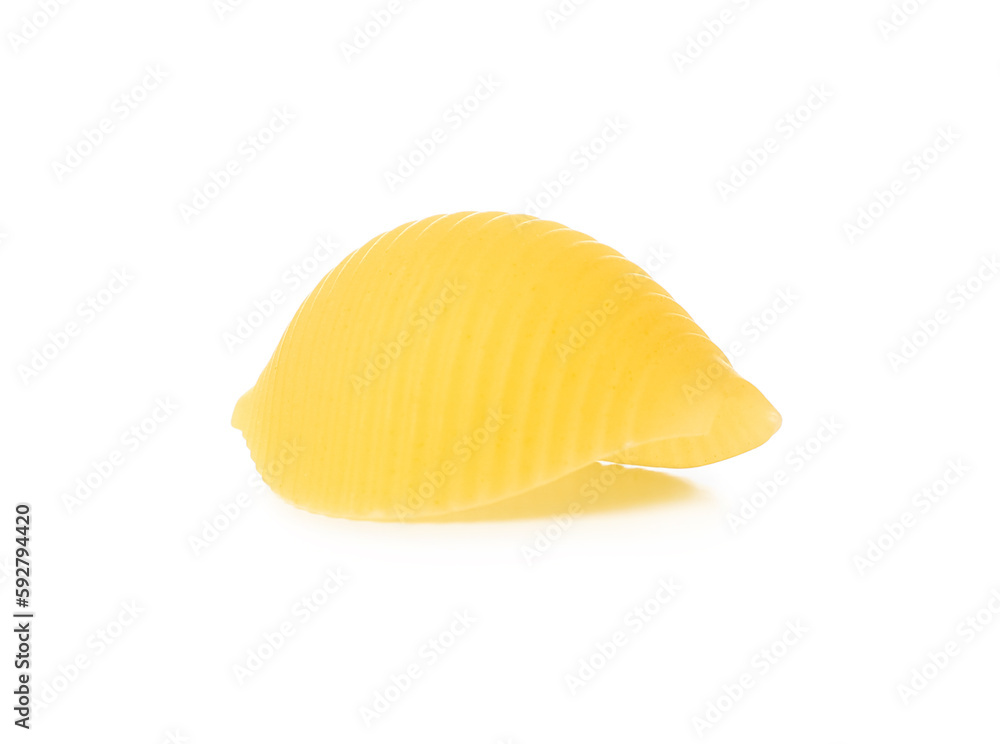 Raw conchiglie pasta isolated on white background