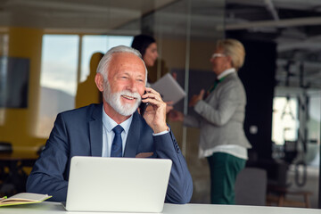 Mature businessman working on laptop. Handsome mature business leader sitting in a modern office