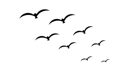 Wall Mural - group of black birds flying