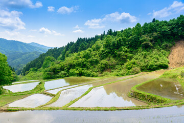 田植え前　宮城県　沢尻の棚田
