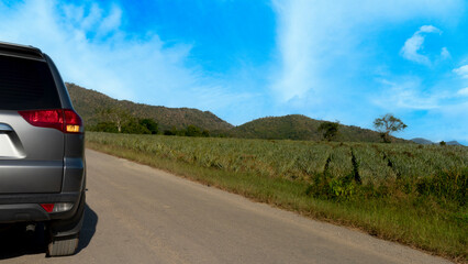 Wall Mural - Rear side of gray car driving on asphalt road. Stop on the upcountry road with turn right signal at day. Beside road with blurred of pineapple plantation and distant mountains under blue sky.