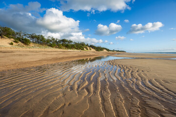 Wall Mural - sand dunes on the beach