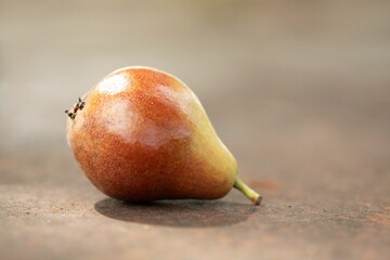 Sticker - Closeup of a reddish pear on a pale brown surface.