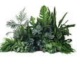 A high-resolution image of a transparent tropical foliage plant arrangement