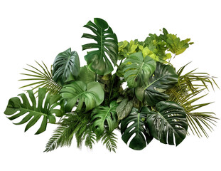 tropical leaves foliage plant jungle bush floral